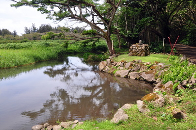 Native fish pond on the valley floor