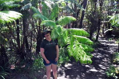 Hiking down to Kīlauea Iki Crater