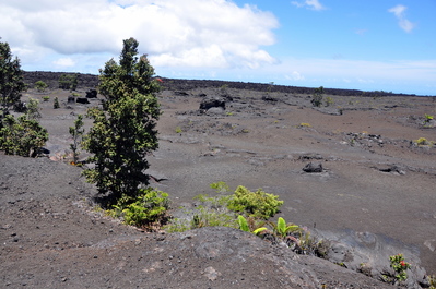 At Mauna Ulu