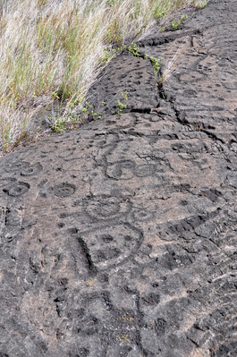 On the petroglyph walk