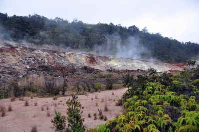 Sulphur fields