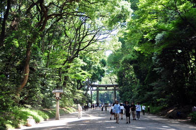 Torii at entrance to Meiji Jingū shrine