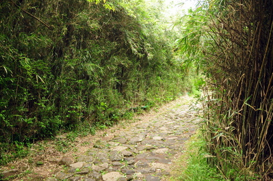 The Old Tōkaidō Road
