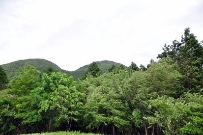 Above the Old Tōkaidō Road