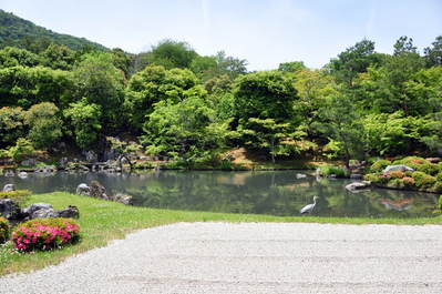 In the gardens of Tenryū-ji Temple