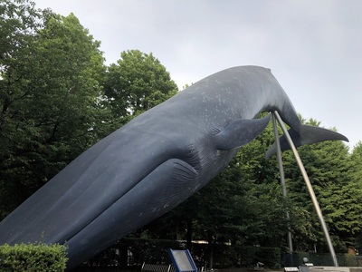 Actual size whale sculpture near Tokyo National Museum