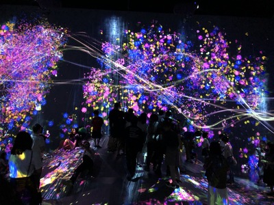 At teamLab Borderless