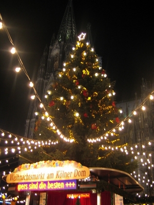 Christmas tree in front of the Dom at night