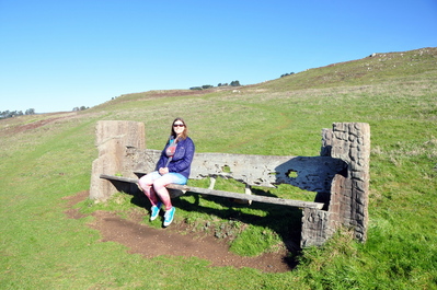 Enormous bench we found on a short hike from the road