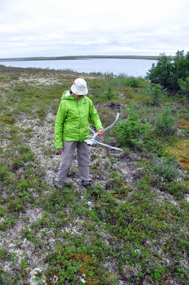 Judy with caribou antlers