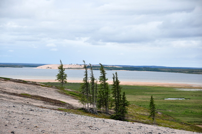 On top of the esker