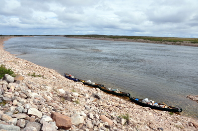Returning to our canoes after chasing muskox