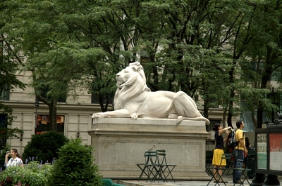 One of the Library Lions