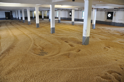 Barley floors