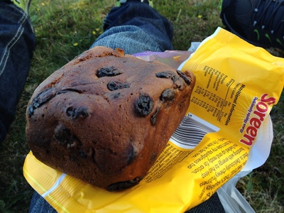 Ridiculous malt bread thing we just had to buy