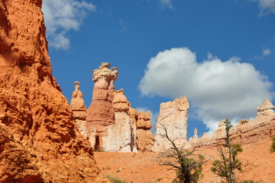 In Bryce Canyon