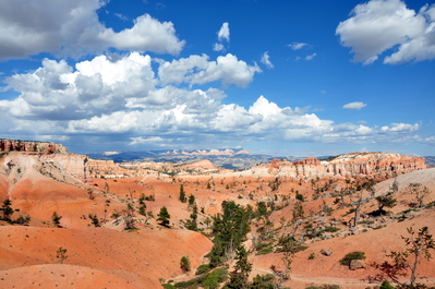 Back up on the rim of Bryce Canyon, looking away from the canyon