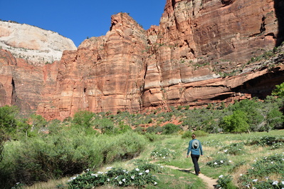 Walking among the flowers in the river valley