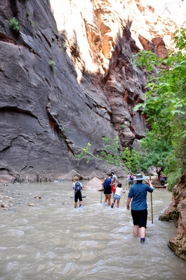 Hiking up the Narrows