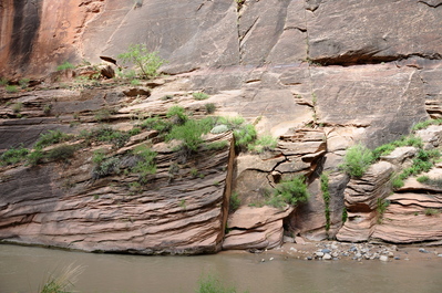 Hiking up the Narrows