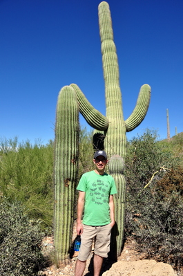 The cactus are tall