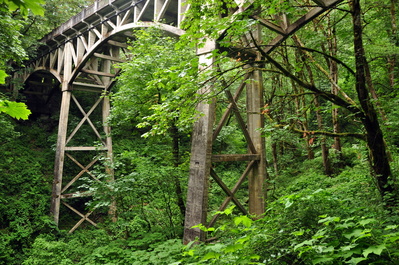 Cool bridge on the way back to Portland near Latourell Falls