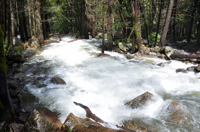 Overflowing river downstream of Bridalveil Falls